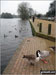 The Mere, Ellesmere