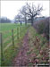 Footpath near Crimps Farm