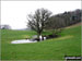 The Shropshire Countryside near Lea Wood