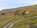 White House Farm with Fremington Edge beyond