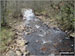 Harthope Burn near Careyburn Bridge