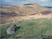 Eccles Cairn and Coldsmouth Hill from Maddie's Well
