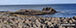 Coastal rock formations near Craster