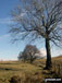 The Lancashire countryside near Easington Brook