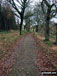 Crookland Wood near Langsett Reservoir