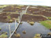 Peat bogs - so much more than just a trap for unwary walkers