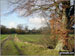 The Cheshire Countryside near Holford Hall