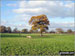 The Cheshire Countryside near Holford Hall