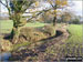 The Cheshire Countryside near Royd Wood