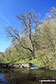 The River Bradford near Youlgreave in beautiful Bradford Dale