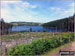 Langsett Reservoir