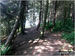 Walking through woodland on the banks of Langsett Reservoir