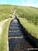 Devonport Leat on Raddick Hill