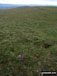 The tiny cairn marking the true summit of Fan Llia