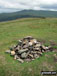 Craig Cerrig-gleisiad summit cairn