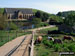 Abbotsbury Swannery