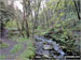 St Nectan's Glen