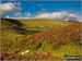 Craig Cerrig-gleisiad and Glyn Tarell from The Storey Arms Outdoor Centre