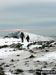 Coniston Old Man from Swirl How on a snowy February day.