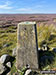 Grey Carrs (Eggleston Moor) summit trig point