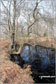 Small Pool on White Moor