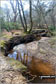 Highland Water
