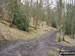 Woodland on the lower slopes of The Wrekin