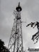 Telecommunications Mast in Chisbury Wood