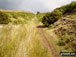 On the Titterstone Incline