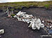 Wreckage of the crashed Airspeed Consul TF-RPM aircraft on Crow Stones Edge