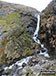 Carlingill Spout waterfall