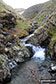 Carlingill Beck in Carlin Gill