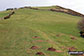 Watch Hill (Cockermouth)