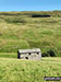One of the Harrop Barns with Horse Head beyond