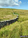 Dry stone wall snaking its way up High Green Field Knott