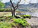 Crummock Water, Buttermere