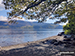 Derwent Water at Hawes End