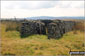 Sheep Fold on Cheeks Hill  - the highest point in Staffordshire