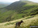 Bannerdale Crags from Bowscale Fell