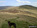 The Schil from the Pennine Way at Black Hag (Hethpool)