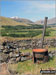 Sheepfold  above Kirkton Farm near Crainlarich