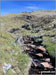 Unnamed Scottish burn on moorland above Kirkton Farm near Crainlarich