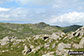 Thunacar Knott from Pavey Ark summit