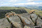 Cairns on Harrison Stickle