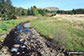 Polifferie Burn from Craigengillan Bridge with Moorbrock Hill in the distance