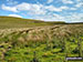 Black Edge Scar form Bycliffe