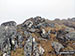 Summit cairn on Creag an Fhithich