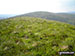 The unmarked grassy summit of Trum y Gwrgedd