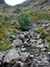 Following this unnamed stream up to the bwlch between Glasgwm and Gwaun y Llwyni