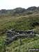 Ruin close to Waun Camddwr